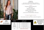 Camisa Gabriella marrom claro - Imagem 3